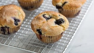 Quick and Easy Blueberry Muffin Recipe  How to Make The Best Homemade Blueberry Muffins [upl. by Anits395]