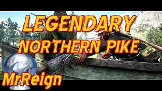 Red Dead Redemption 2  Hunting The Legendary Northern Pike  Quest Playthrough [upl. by Jennee210]