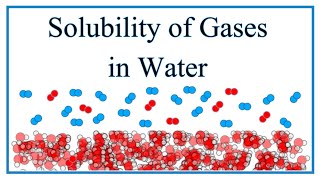 Solubility of Gases in Water O2 N2 etc [upl. by Joey]