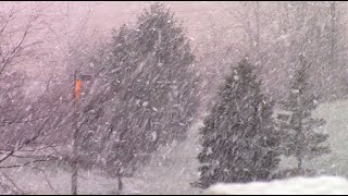 Very Heavy Snowfall  Fort Wayne IN 123020 [upl. by Nortal267]