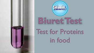 Protein Test or The biuret Test Test for Proteins in food [upl. by Erdreid]