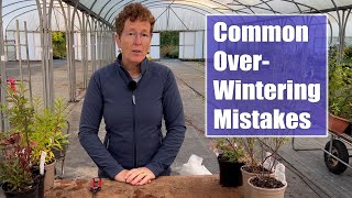 Common Mistakes I See with Overwintering Perennials [upl. by Umeko]