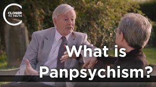 Keith Ward  What is Panpsychism [upl. by Sig]