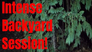 Strange Paranormal Noises Heard Backyard Spirit Box Session [upl. by Bette]