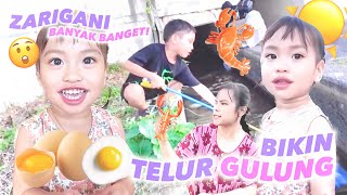 GAGAL BIKIN TELUR GULUNG DAN CARI ZARIGANI [upl. by Hctub690]