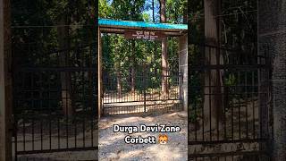 Durga Devi Zone Opening Soon Corbett shorts jimcorbettnationalparkuttrakhand safarizone [upl. by Cammi]