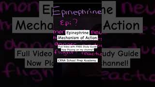 Epinephrine Mechanism of Action icu icunurse nurses nurselife nurse [upl. by Atilemrac]