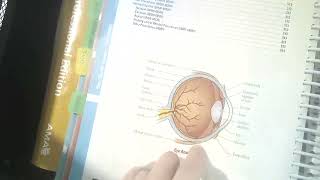 Eye Ocular Adnexa Auditory and Operating Microscope Walkthrough CPT 2022 [upl. by Rehsu]