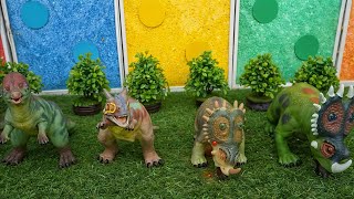 Amazing Dino Transformation  Baby Dinos Turn into Mysterious Creatures [upl. by Clementina935]