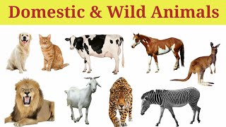 Domestic Animals Name and Wild Animals Name [upl. by Tisdale13]