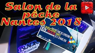 SALON DE LA PÊCHE NANTES 2018 Illex Ultimate fishing Fiiish [upl. by Valiant211]