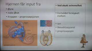 Guttorm EldÃ¸en om svimmelhet [upl. by Newra]