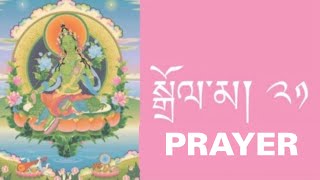 Jetsun Dolma Prayer with Lyrics ༼ སྒྲོལ་མ། ༢༡༽ tibetanprayer [upl. by Eivets]