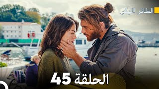 مسلسل الطائر المبكر الحلقة 45 Arabic Dubbed  FULL HD [upl. by Hew]