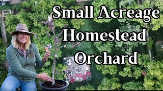 48 Fruit Trees on 12 Acre Homestead Orchard Layout PlantingTips [upl. by Kcirddes]