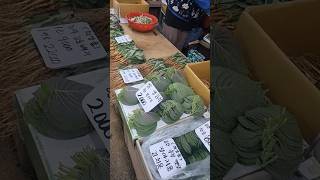 금산 추부 깻잎  노지 꼬들빼기 황토 꼬들빼기등  Geumsan chubu perilla leaves etc 재래시장 koreanmarket streetmarket [upl. by Eioj]