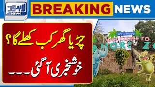 Big News When Will Lahore Zoo Open  Lahore News HD [upl. by Riem]