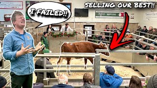 A MARKET NIGHTMARE BAD DAY AT MARKET SELLING MY BEST COWS [upl. by Anilegnave391]