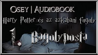 Harry Potter és az azkabani fogoly hangoskönyv remake  1 fejezet [upl. by Croom]