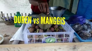 Terjawab sudah Kenapa penjual Duren juga selalu menjual Manggis [upl. by Whallon]