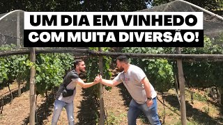 O QUE FAZER EM VINHEDO  ROTEIRO COMPLETO [upl. by Anees]