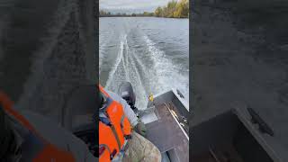 Windboat 40 evo и Тohatsu 18 супер комплект осень на воде [upl. by Allenad]