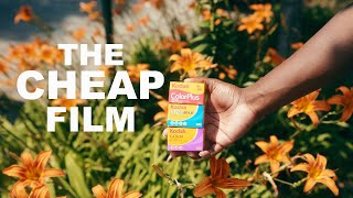 These CHEAP Film Stocks are Surprisingly AMAZING [upl. by Lahcear]