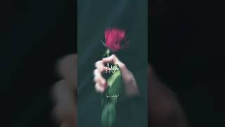 Adiye Sakkarakati❤️Meesaya MurukuLyrics WhatsApp StatusTrending shortsSubscribe for more videos [upl. by Alon]