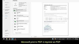 Tip Correo a PDF [upl. by Akinirt]