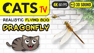 GAME FOR CATS  Realistic Dragonfly for cats to watch 4K 🔴60FPS CATS TV [upl. by Piscatelli]