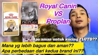 PERBANDINGAN MAKANAN KUCING DRY FOOD ROYAL CANIN DAN PROPLAN  Lebih bagus Royal Canin atau Proplan [upl. by Nilreb]