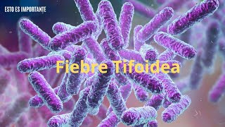 FIEBRE TIFOIDEA  Etiología Clínica Diagnóstico y Tratamiento  Repaso Infecciosas [upl. by Ahcarb558]