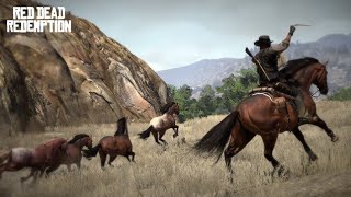 DRESSER UN CHEVAL RED DEAD REDEMPTION [upl. by Acinomahs314]