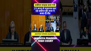 वकील साहब फ़स गये high motivation highcort supremecourtjudge supreme news chiefjudge [upl. by Nuzzi]