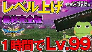 【DQ3リメイク レベル上げ】１時間で賢者のレベル99！究極の簡単 「レベル上げ」決定版をご紹介します！攻略動画 【もずとはゃにぇ】 [upl. by Obadias]