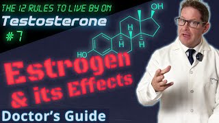 Estrogen Management on TRT  12 Rules to Live by on Testosterone  Doctors Guide [upl. by Blythe]