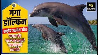 The Ganges River Dolphin  National Aquatic Animal  To The Point  UPSC IAS [upl. by Aicenra]