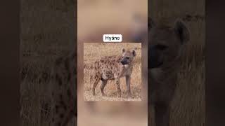 Tiere die DU NIE als BABY gesehen hast…😳  foryou trending tiere animals fypシ゚viral fypシ゚ [upl. by Middle567]