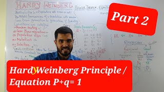 L10 Hardy Weinberg PART2 principle and Equation  Genetic Equilibrium  Allele frequency [upl. by Balf]