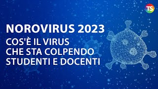 Norovirus 2023 cosè il virus che sta colpendo studenti e docenti sintomi e come prevenirlo [upl. by Kerwon]