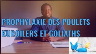 PROPHYLAXIE MÉDICALE DES POULETS KUROILERS ET GOLIATHS [upl. by Takeo]