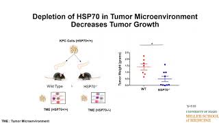 HSP70 MODULATES IMMUNE RESPONSE IN PANCREATIC CANCER [upl. by Velasco]