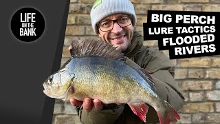 PERCH FISHING  LURE TACTICS IN FLOODED RIVERS [upl. by Hoon662]