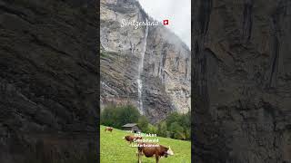 Switzerland mesmerising 🇨🇭😍Interlaken  Grindelwald  Lauterbrunnen  travel switzerland alps [upl. by Nicko]