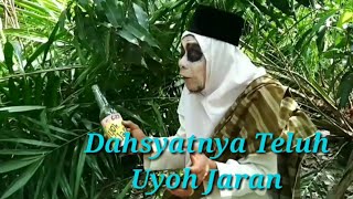 TOGEL Part 3  Dahsyatnya Teluh Uyoh Jaran Komedi Ngakak AtokLabu [upl. by Oidivo691]