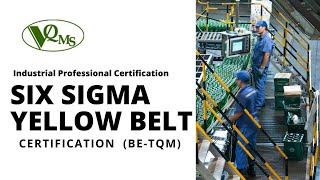 Six Sigma Yellow Belt certification [upl. by Atis]