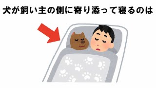 犬の飼い主への愛情行動の科学 [upl. by Niro]