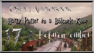 Harry Potter és a Bölcsek Köve hangoskönyv  17 fejezet [upl. by Iruam162]