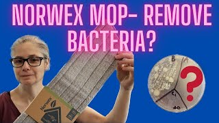 Norwex Mop Tested Can it Remove Bacteria w Only Water [upl. by Beaufert]