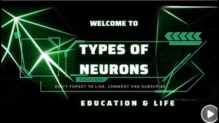 Neurons  Types of Neurons  Complete explained [upl. by Jean-Claude]